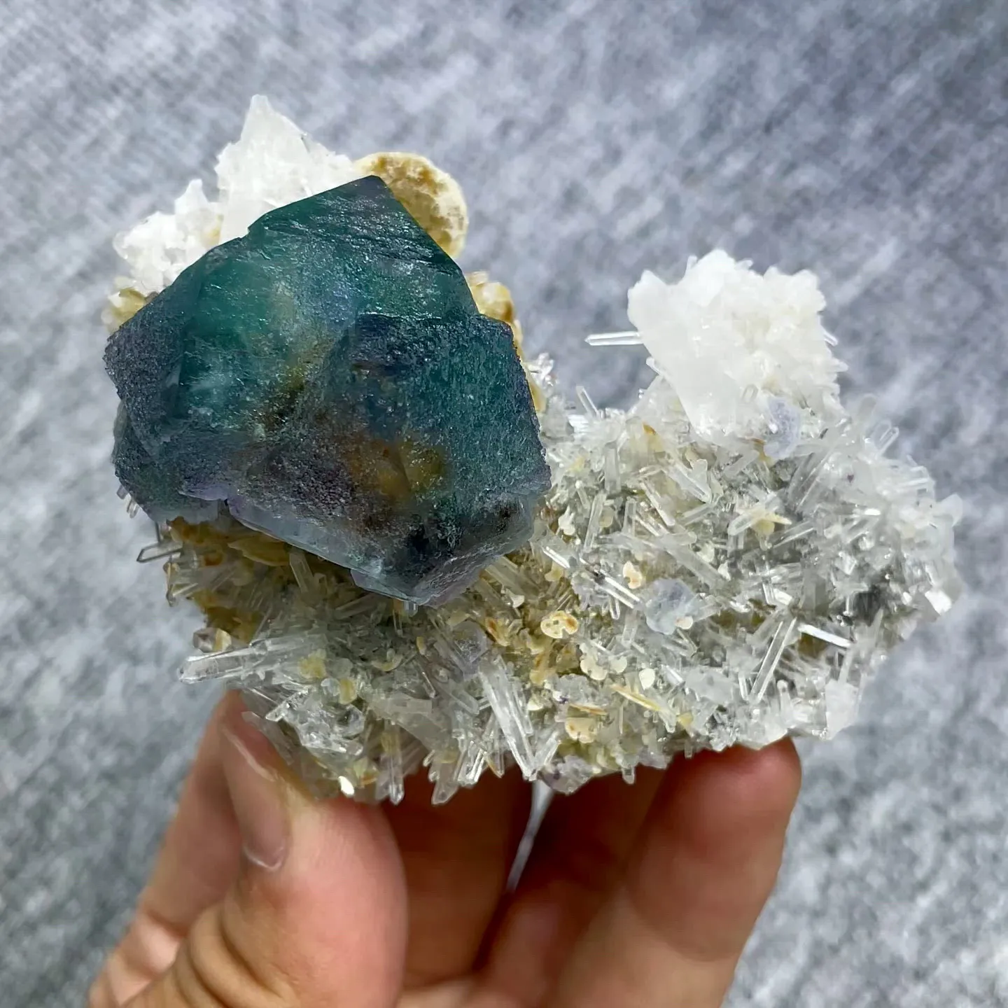 specimen video