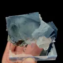 specimen video