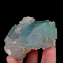 specimen video