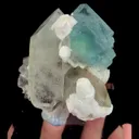 specimen video