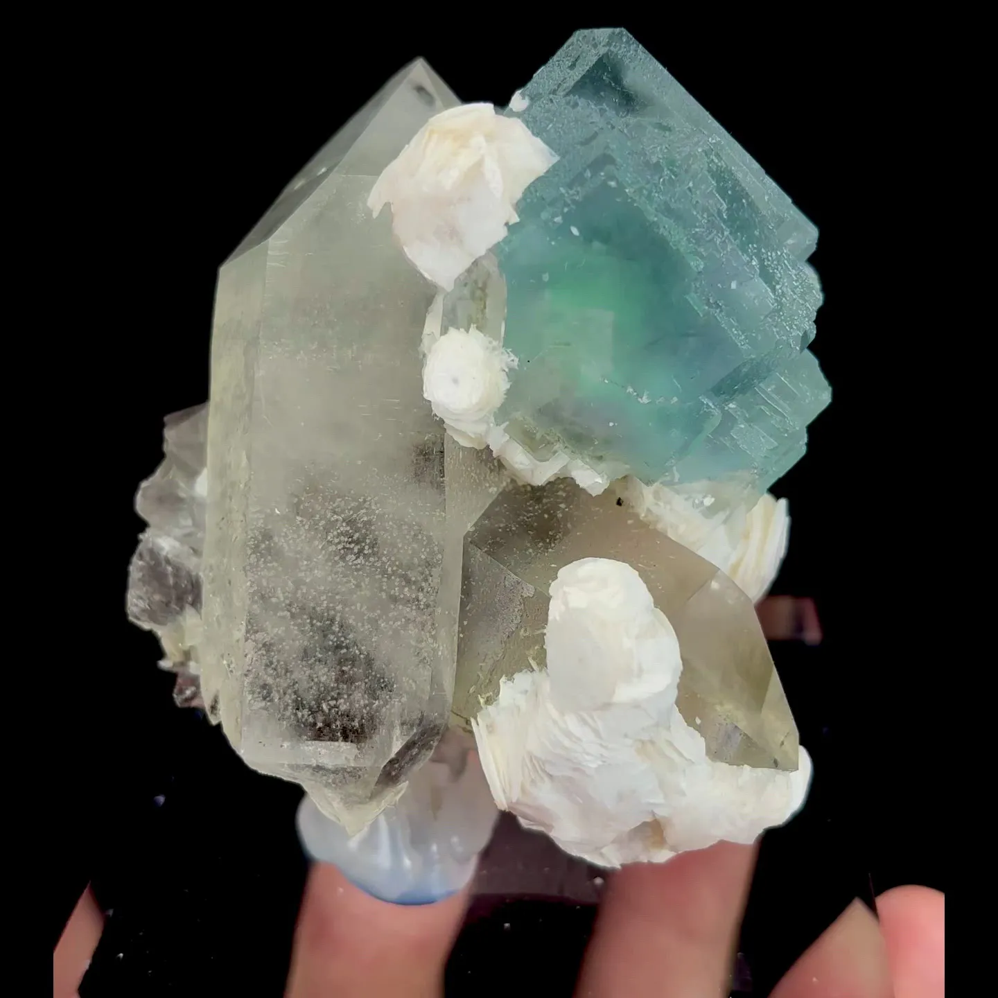 specimen video