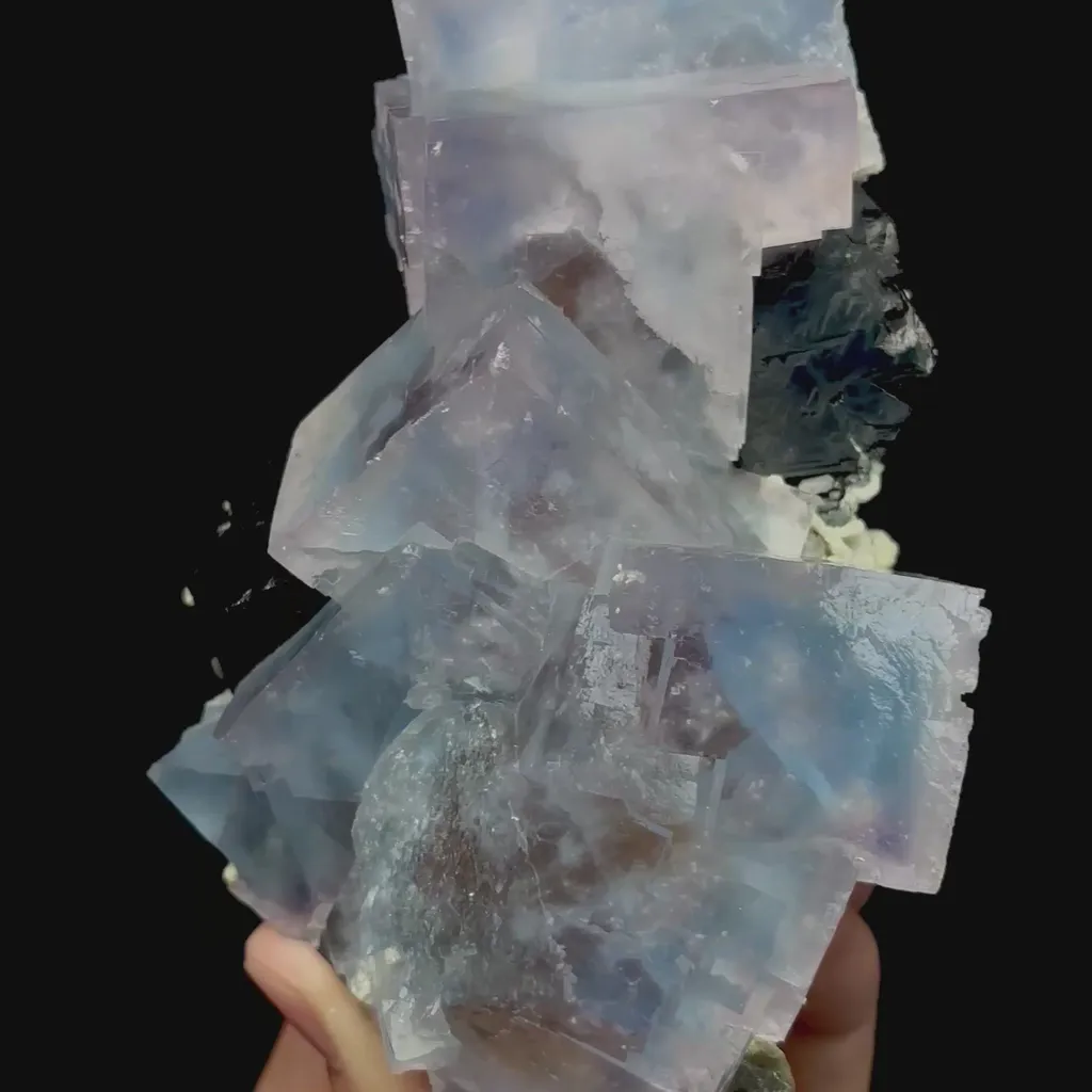 specimen video
