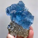 specimen video