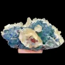 specimen video
