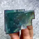 specimen video