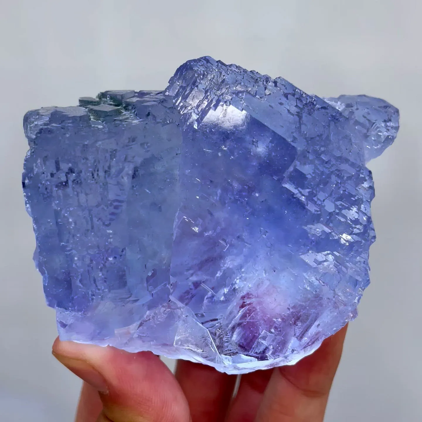 specimen video