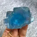 specimen video