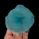 specimen video