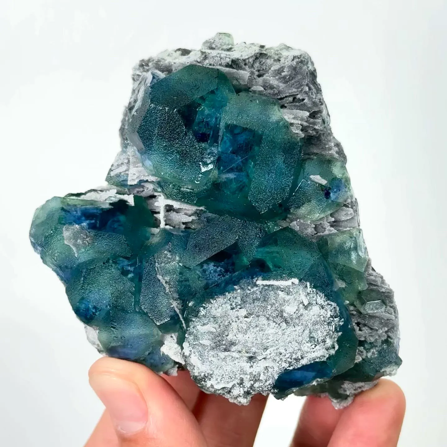 specimen video