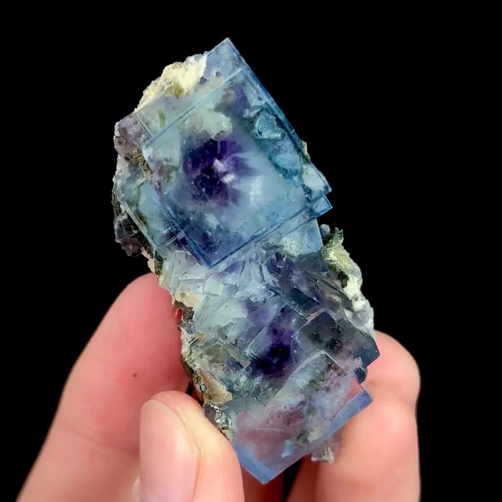 specimen video