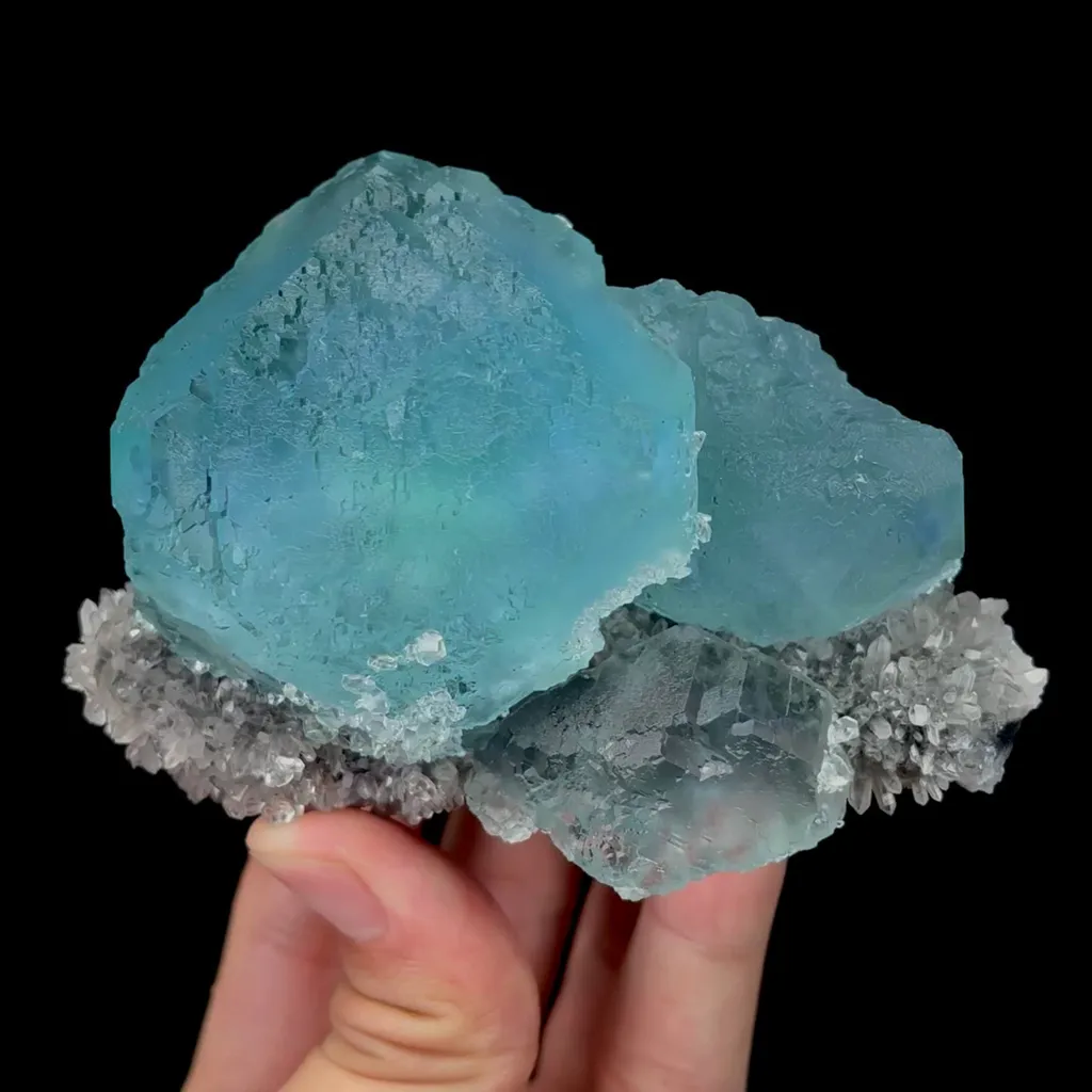 specimen video