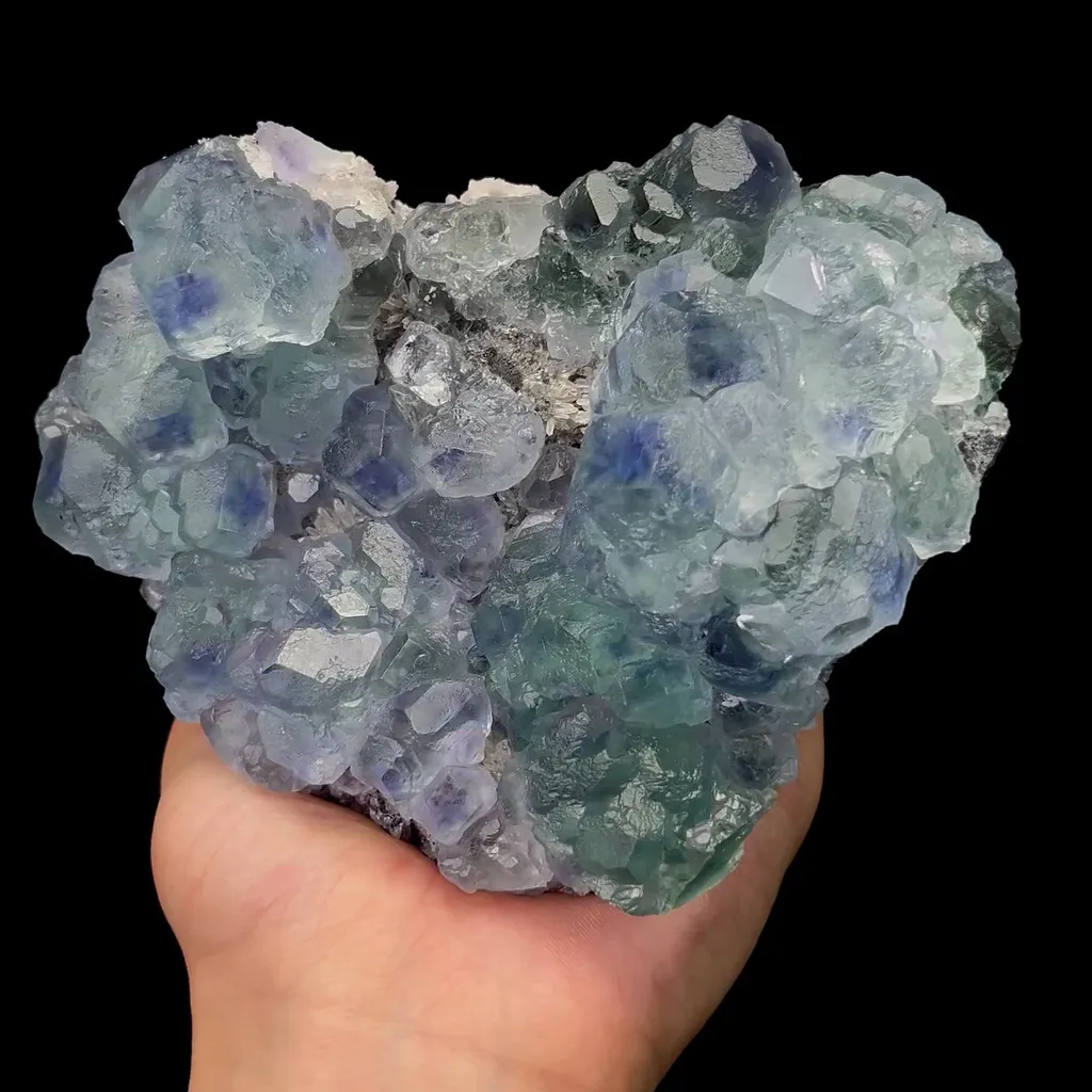 specimen video