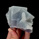 specimen video