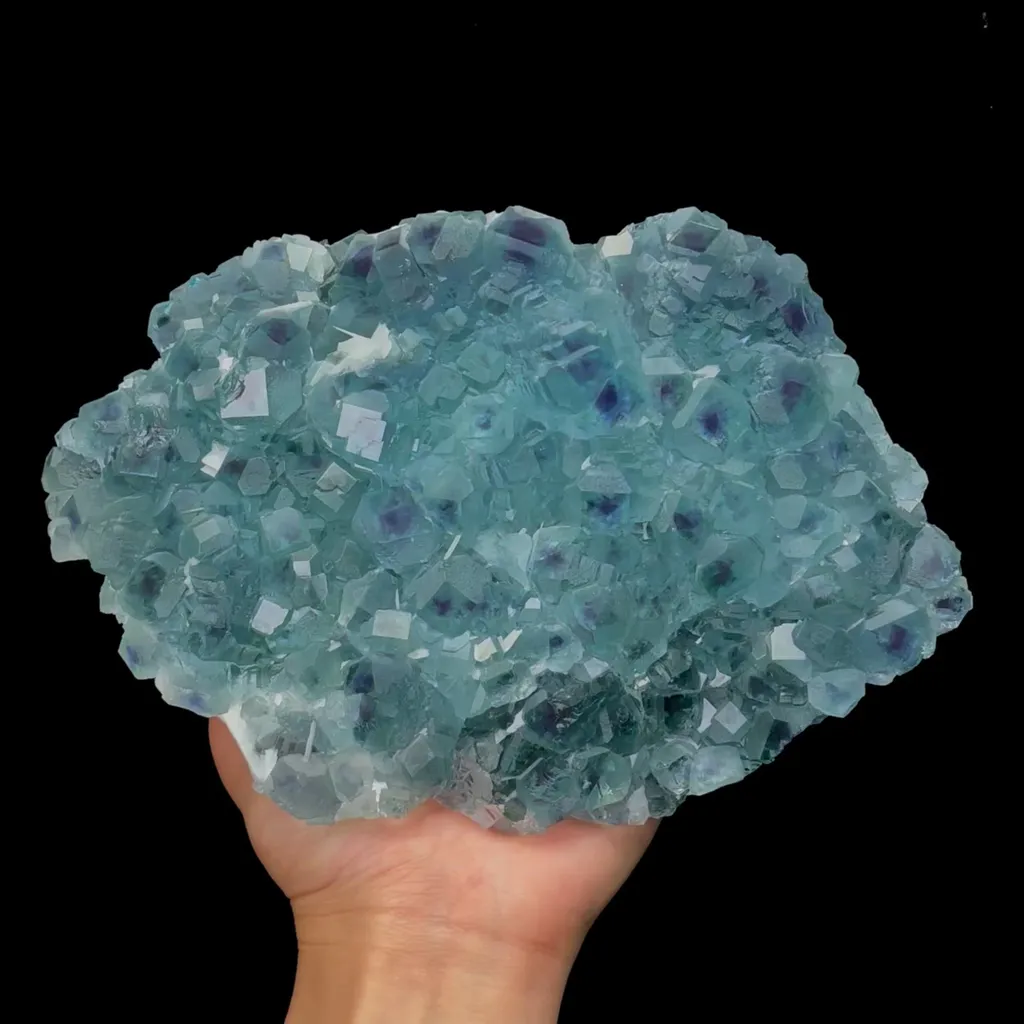specimen video