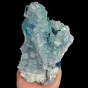 specimen video