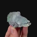 specimen video
