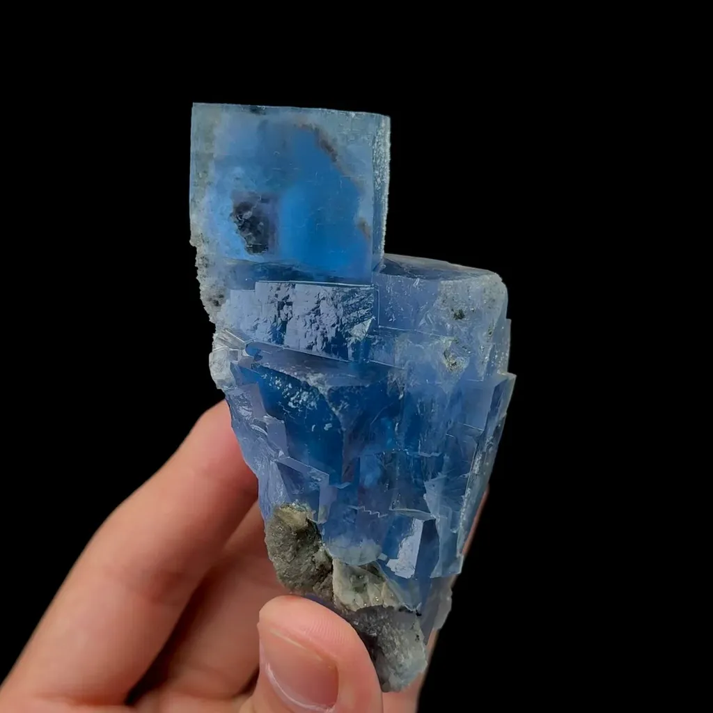 specimen video