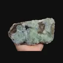 specimen video