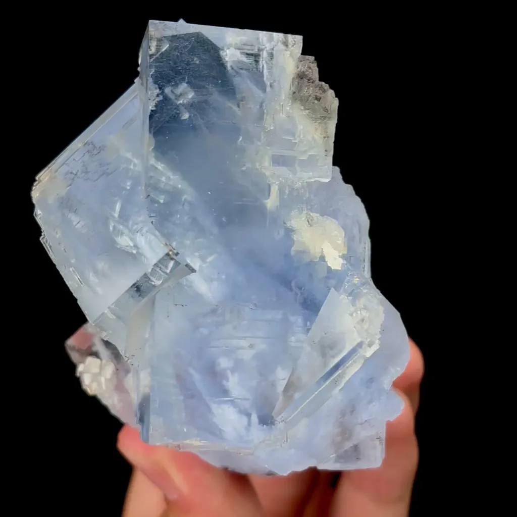 specimen video