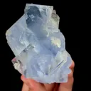specimen video