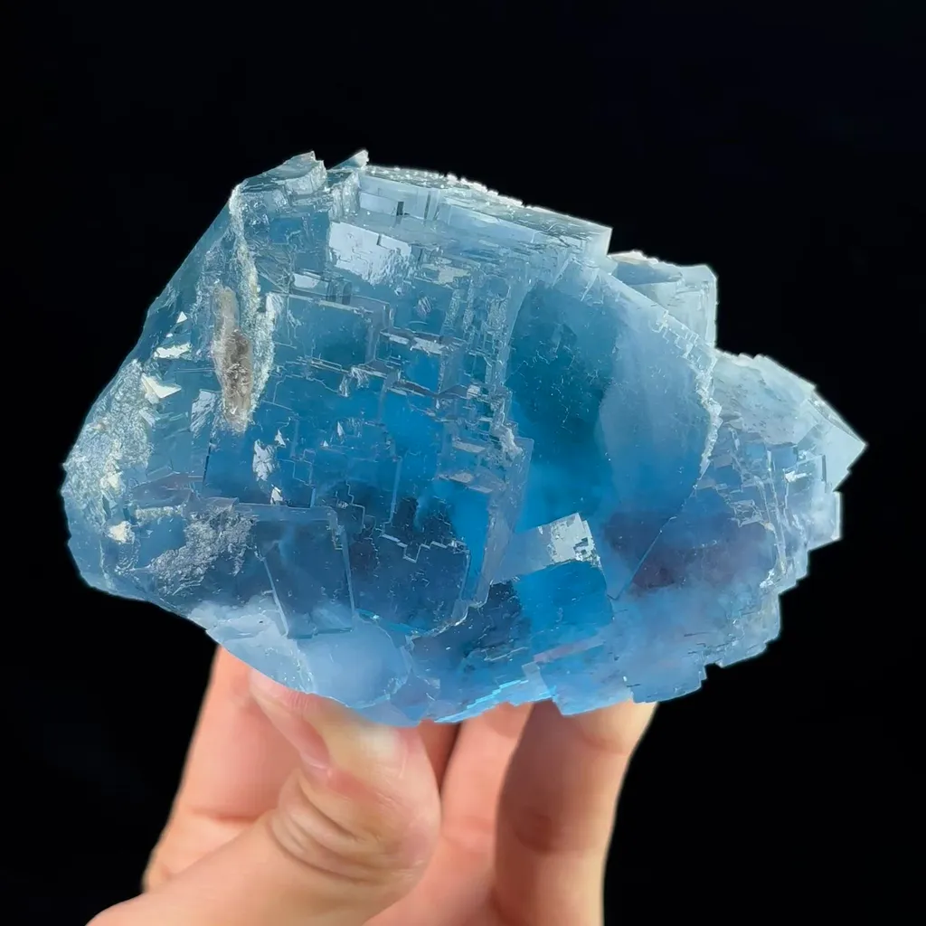 specimen video