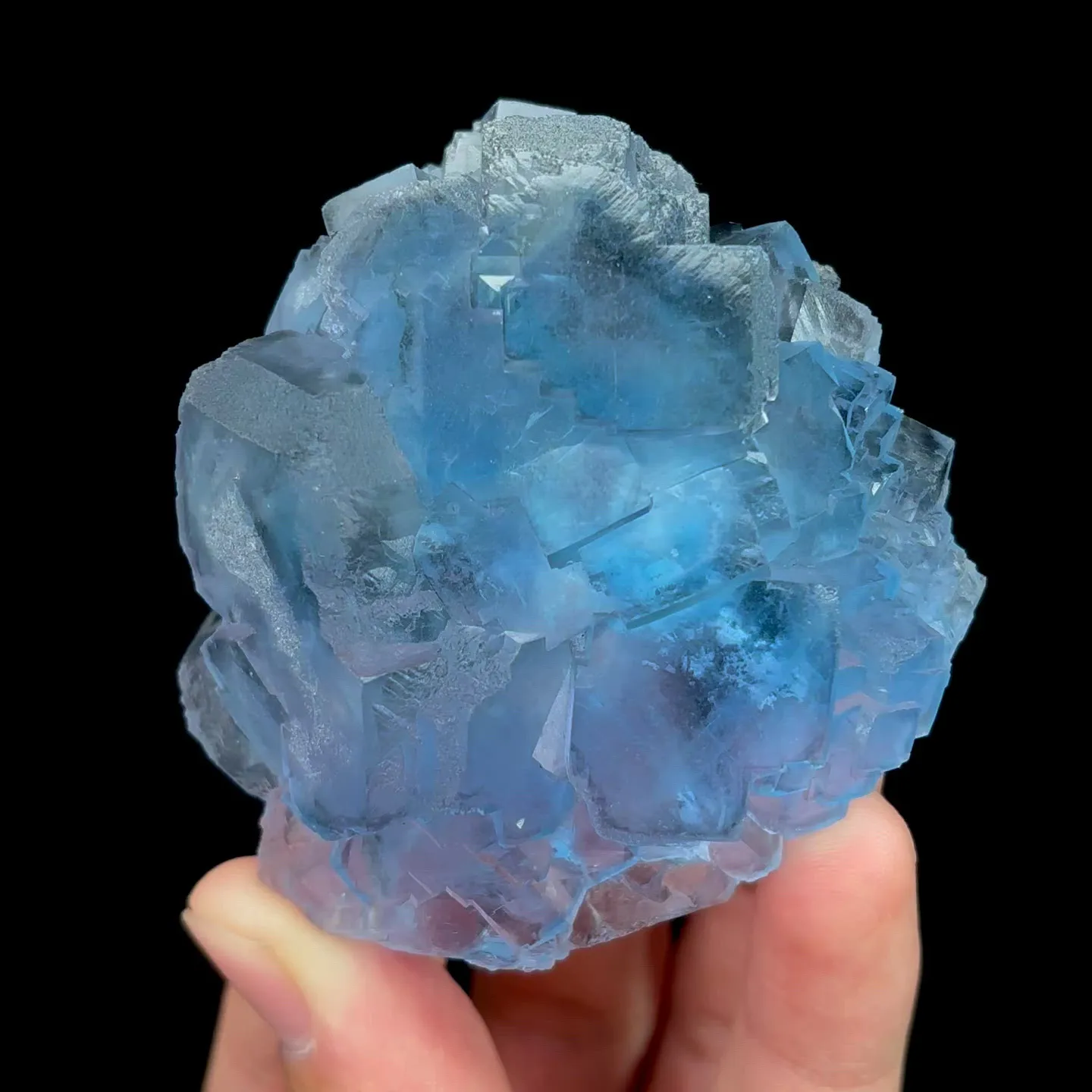 specimen video
