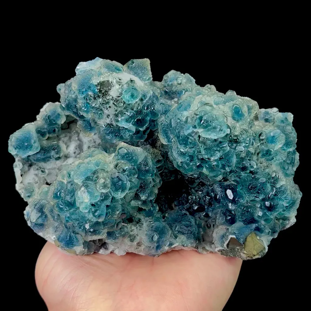 specimen video
