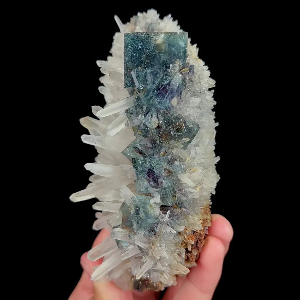 specimen video