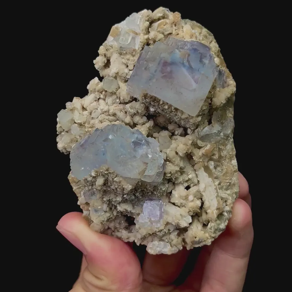 specimen video