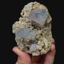 specimen video