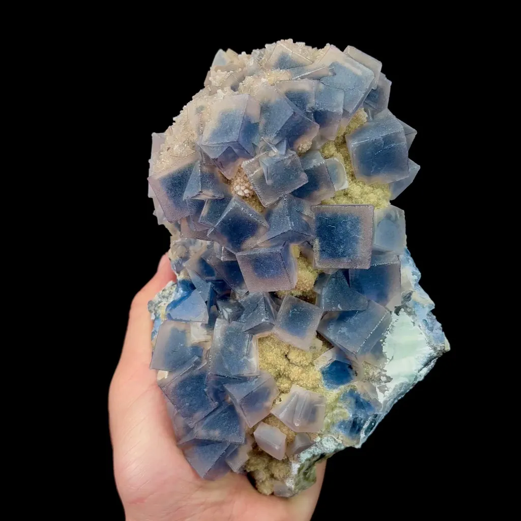 specimen video