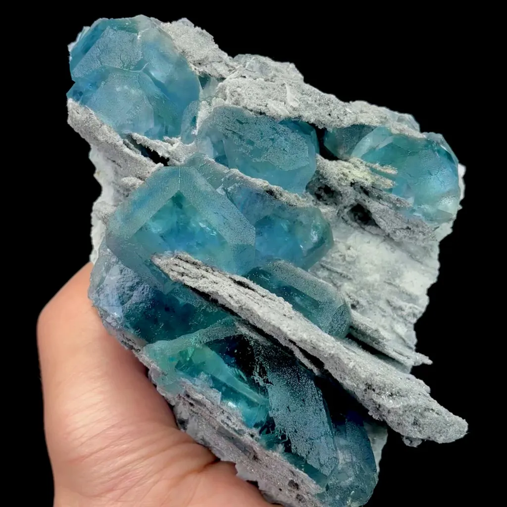 specimen video