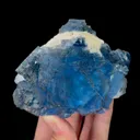 specimen video