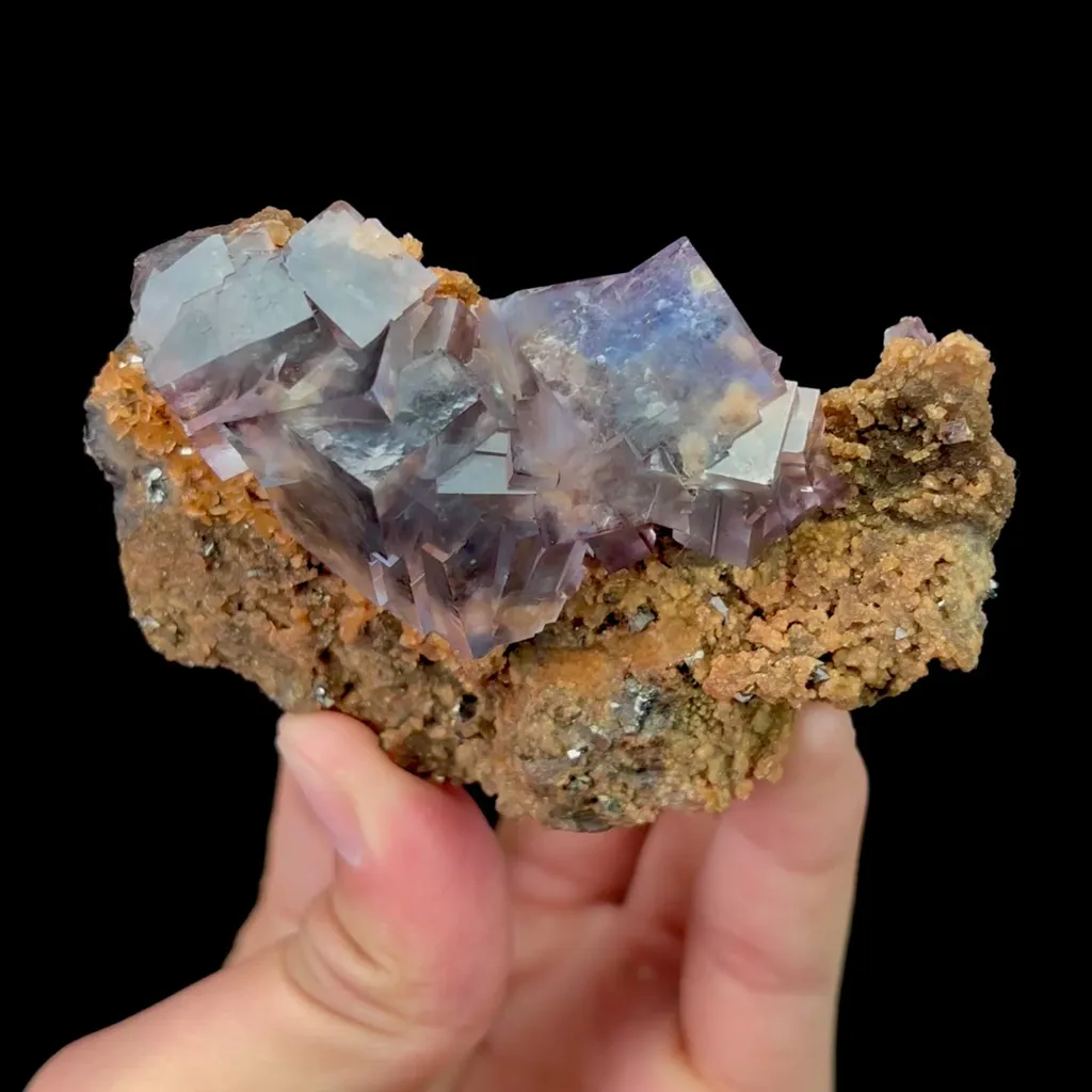 specimen video