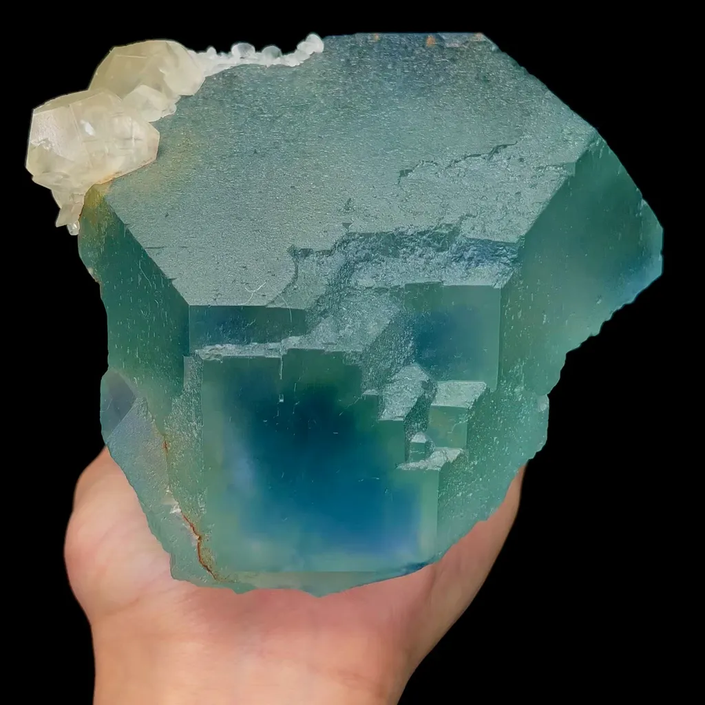 specimen video