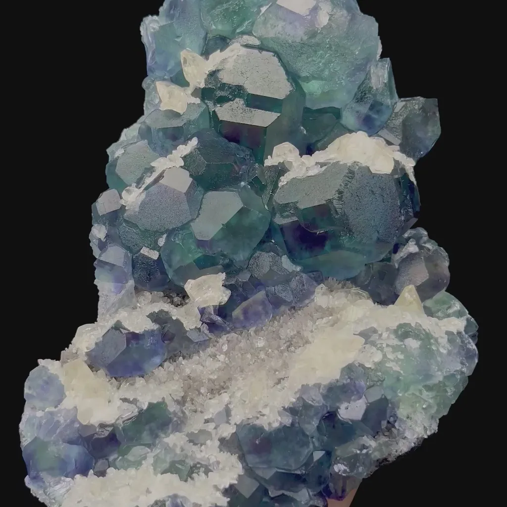 specimen video