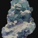 specimen video