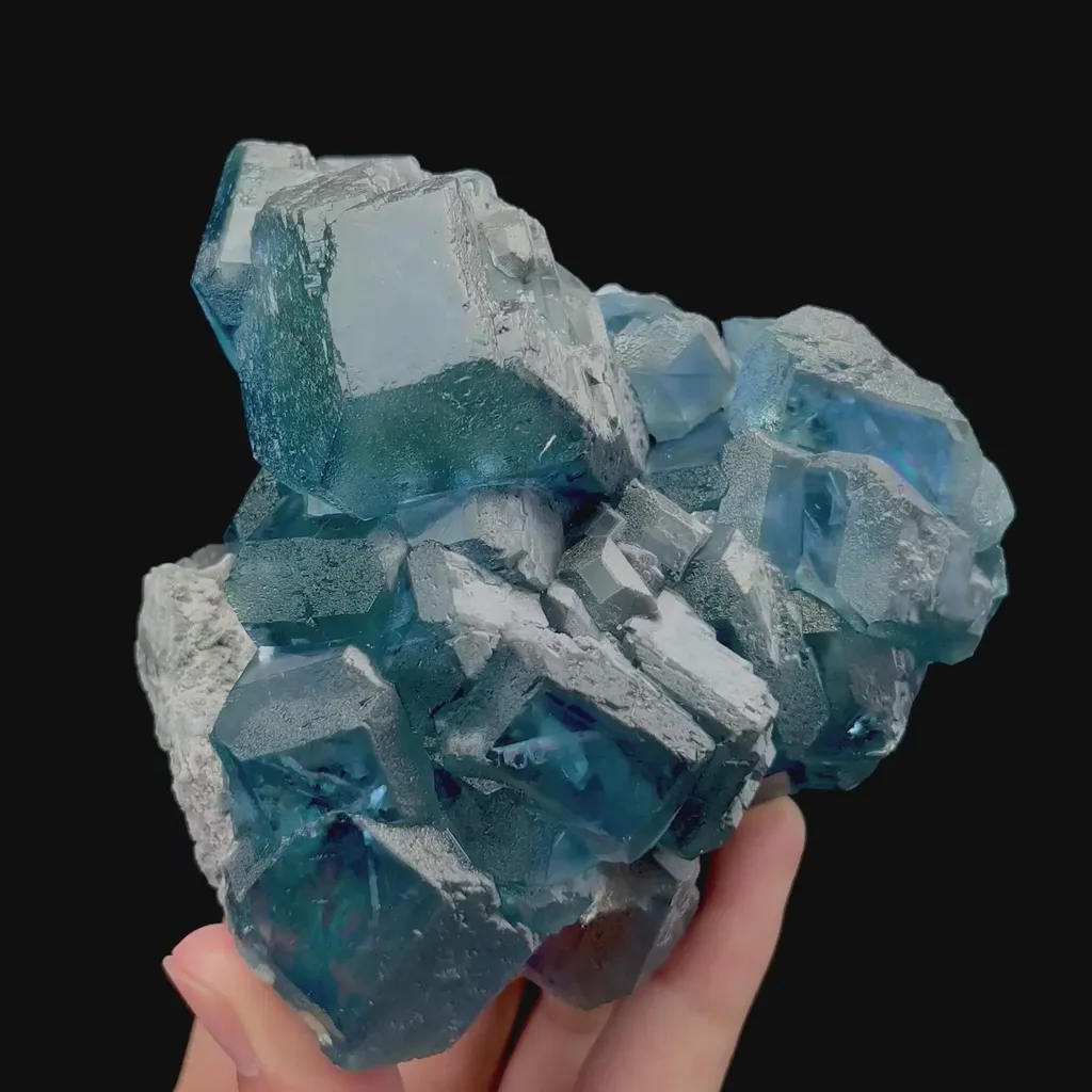 specimen video