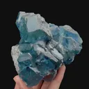 specimen video