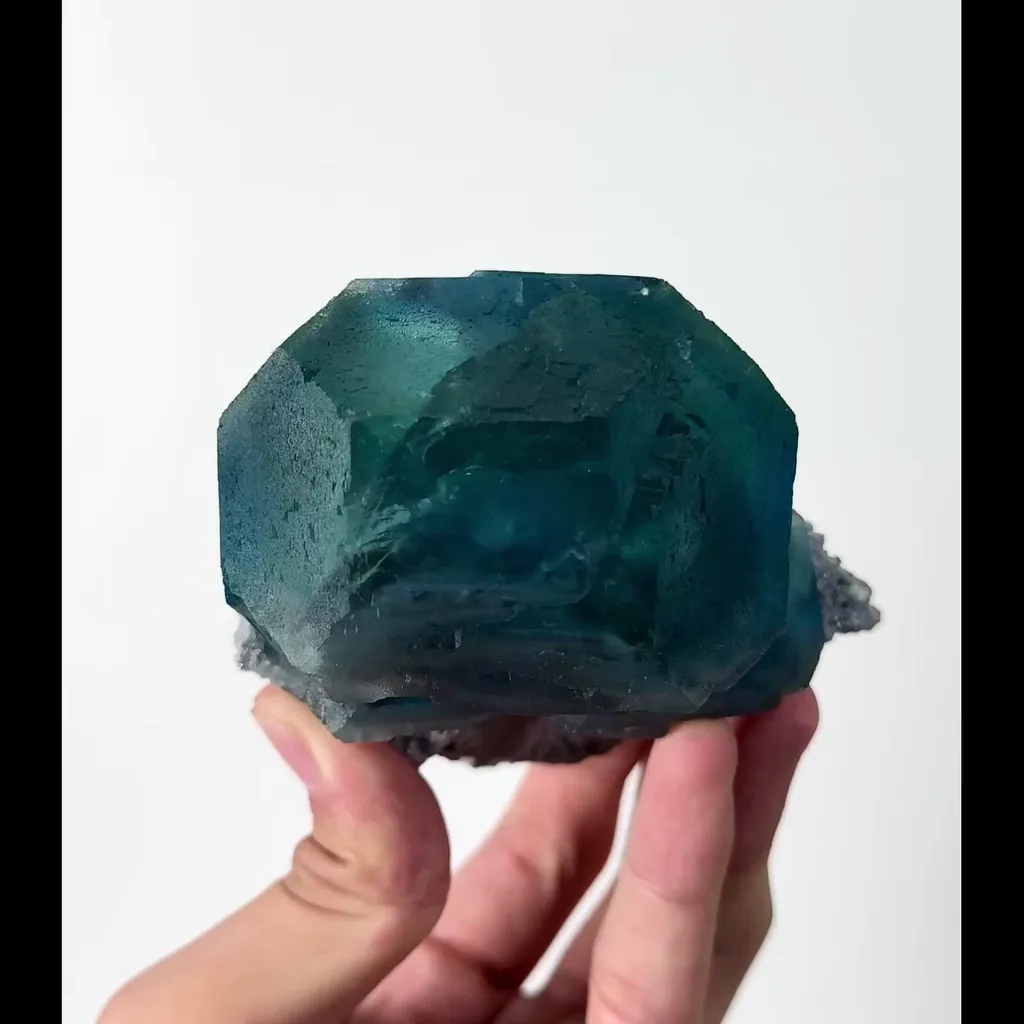 specimen video