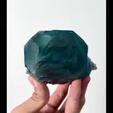 specimen video