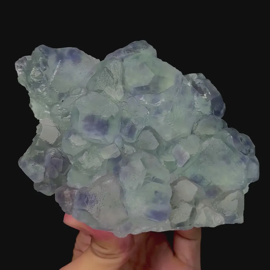 specimen video