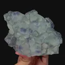 specimen video