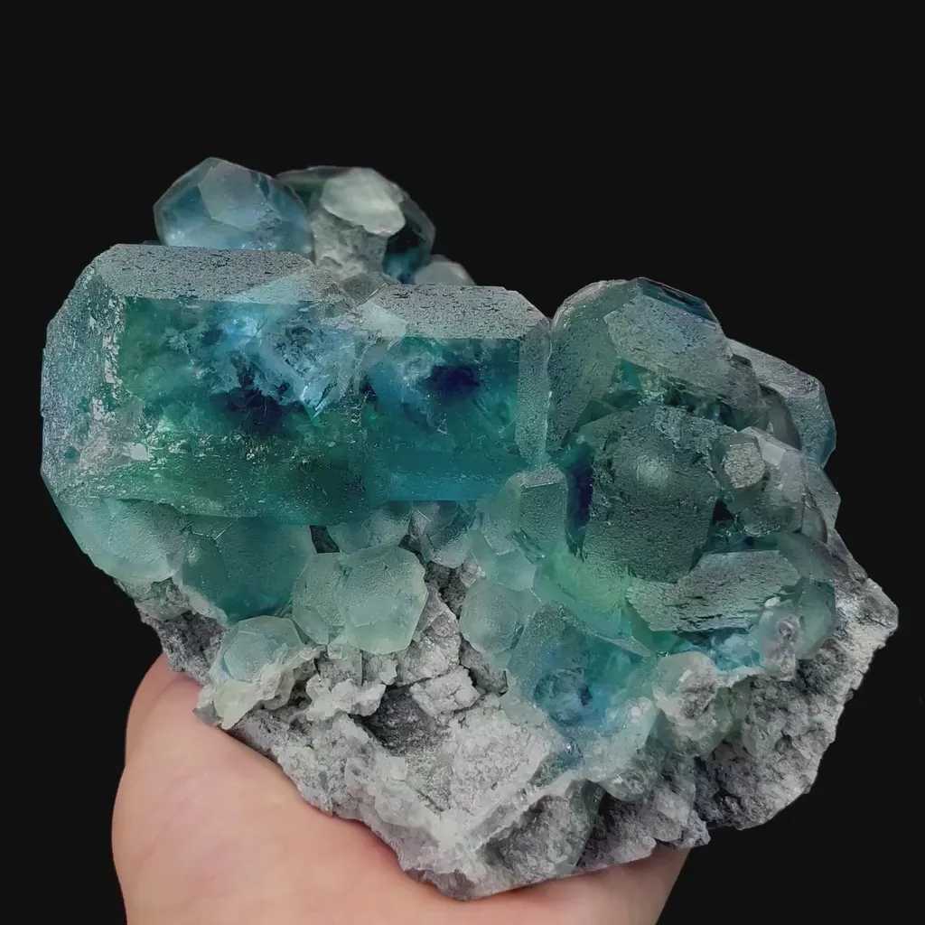 specimen video
