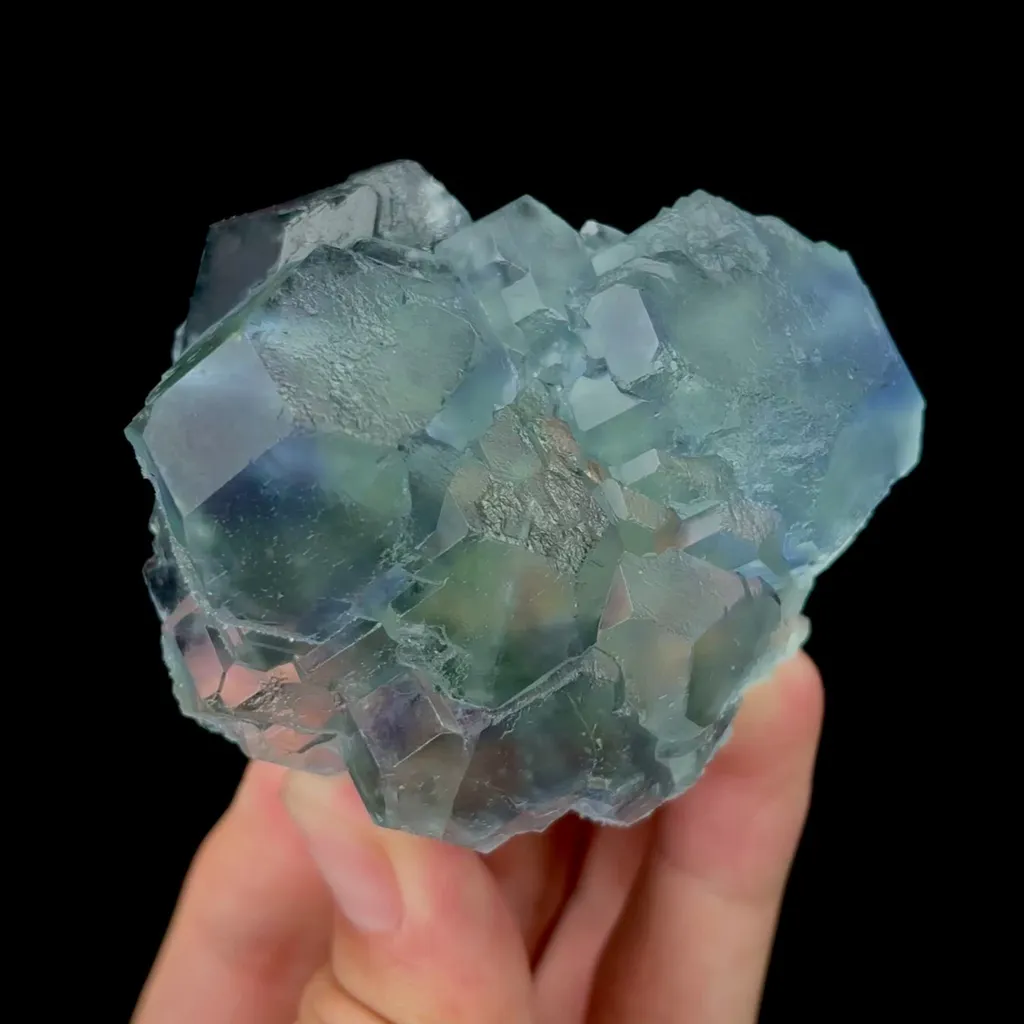 specimen video