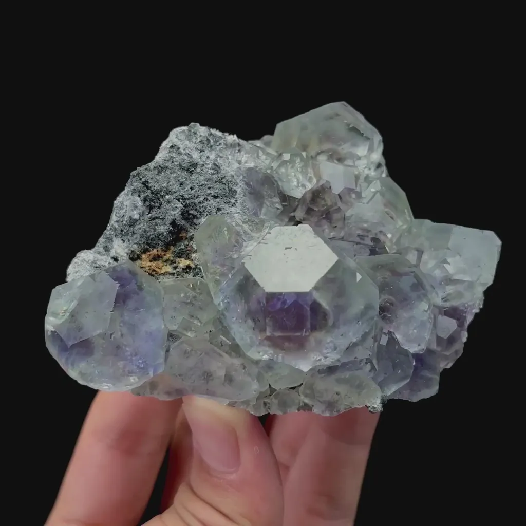 specimen video