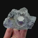 specimen video