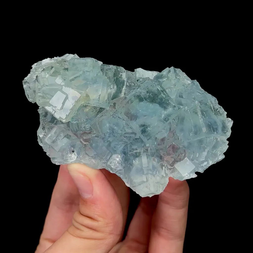 specimen video