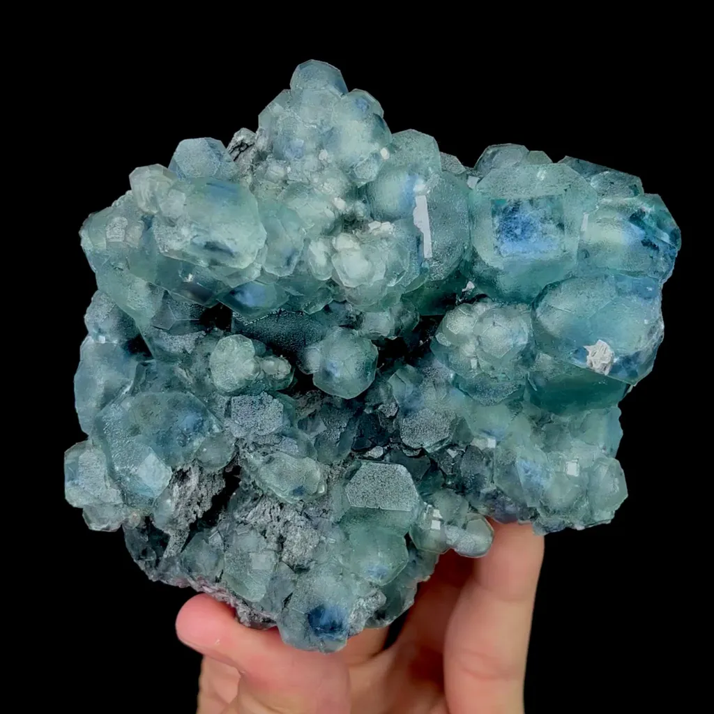 specimen video