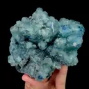 specimen video